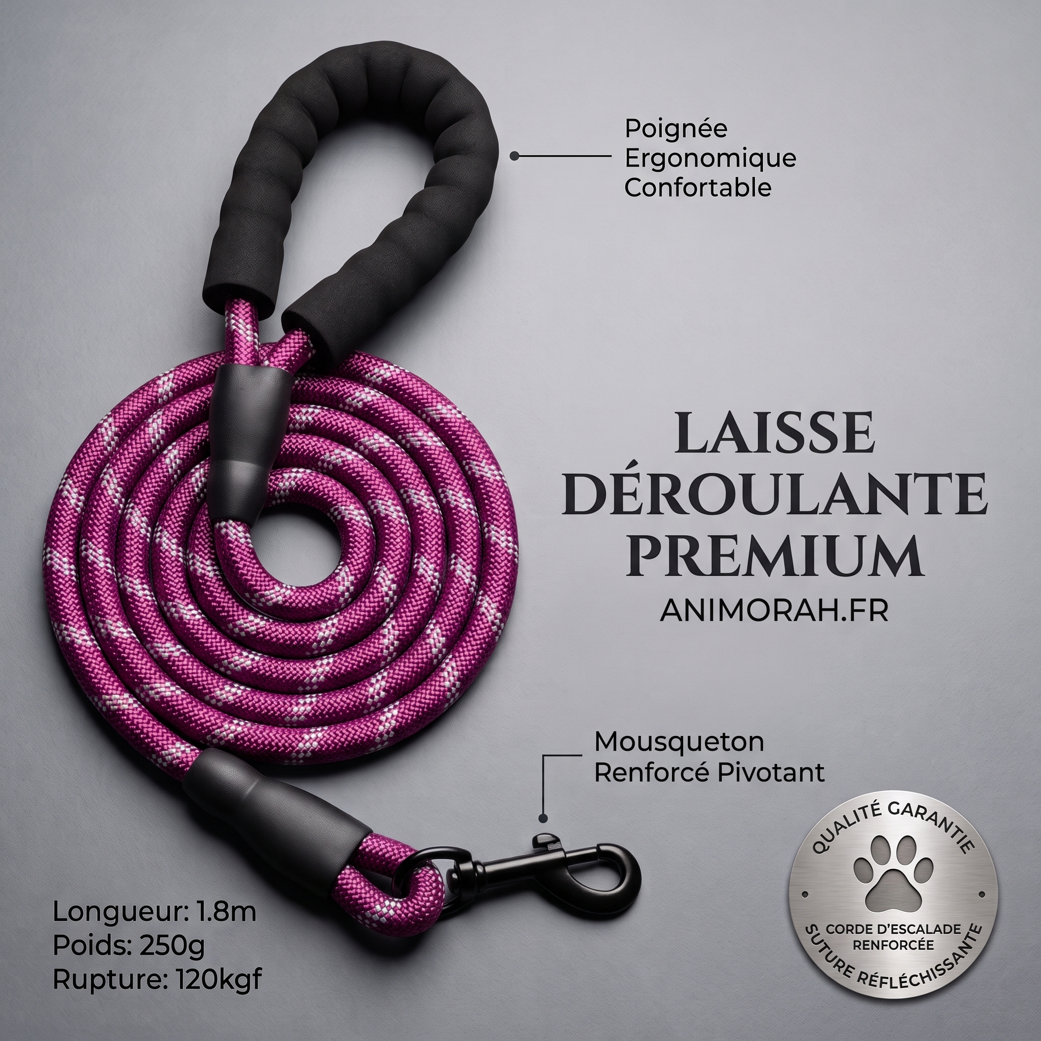 Laisse pour chien Casting avec poignée rembourrée | Animorah