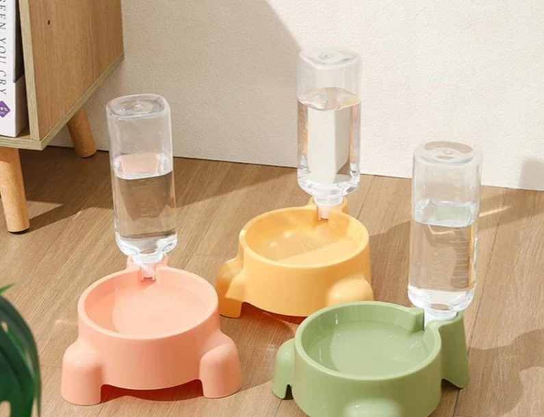 Bouteille d'eau | Animorah