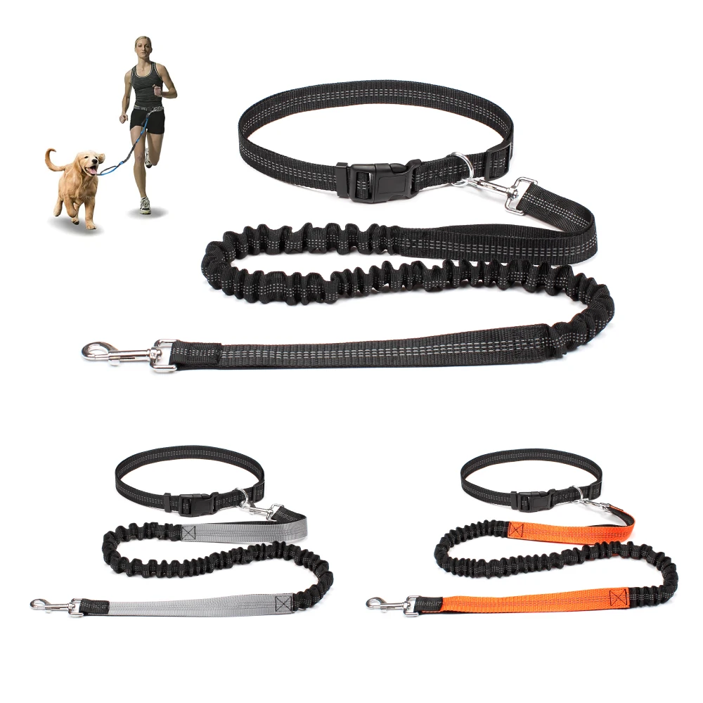 Laisse  pour chien | Animorah