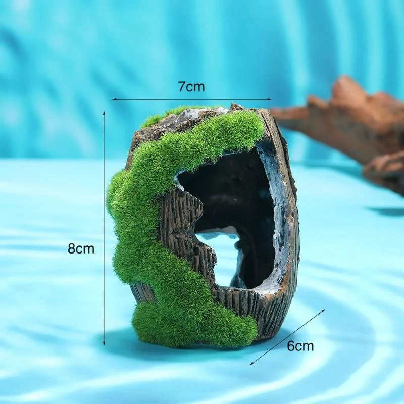 Décoration d'aquarium | Animorah