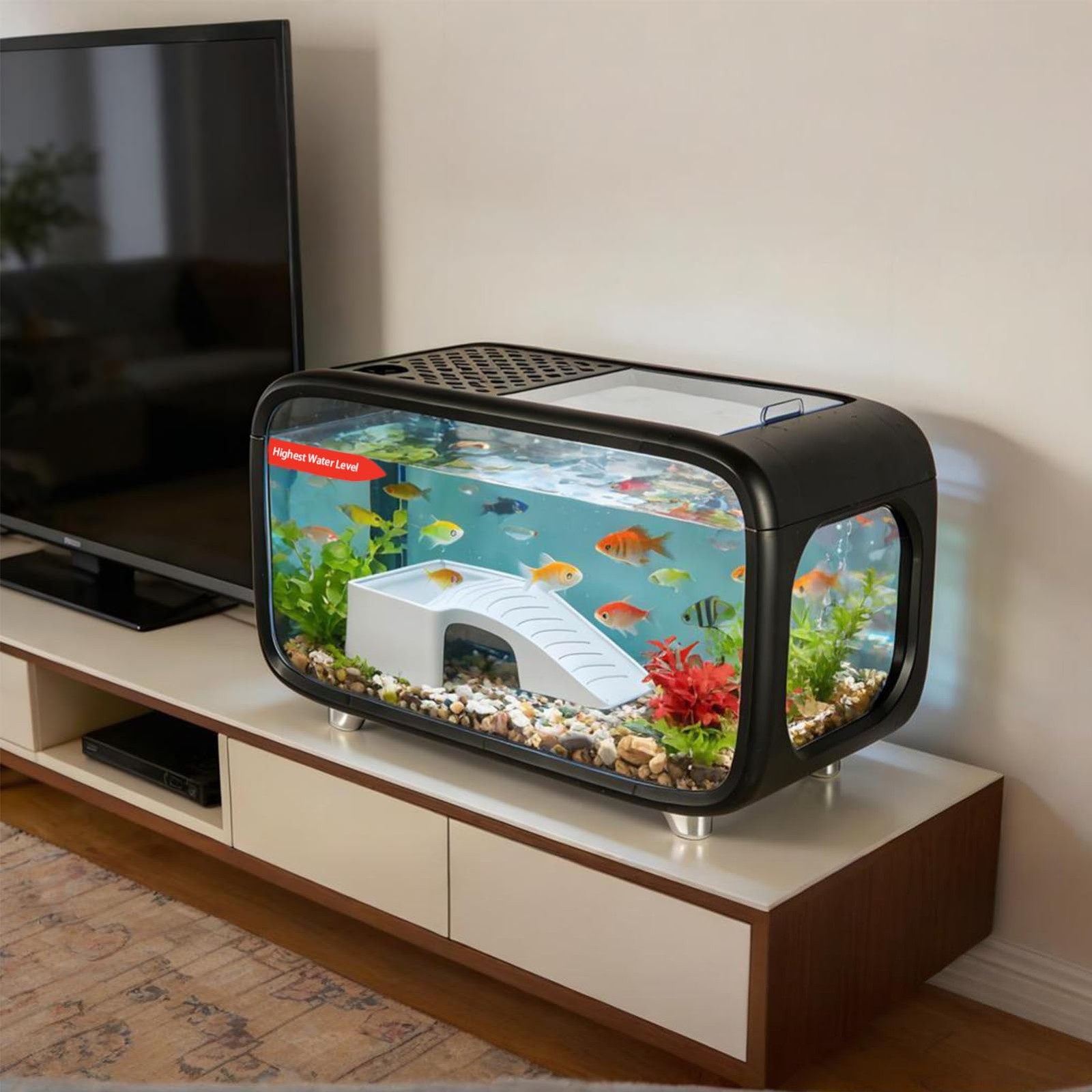 Mini-aquarium écologique de bureau | Animorah